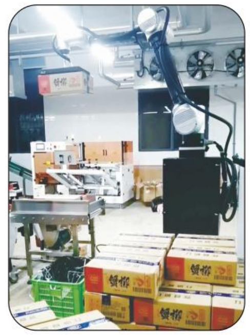 Ai-RMD30 AI協働パレタイジングロボット（≤9カートン/分）– 多様なシナリオに対応するインテリジェントで柔軟なパレタイジングソリューション